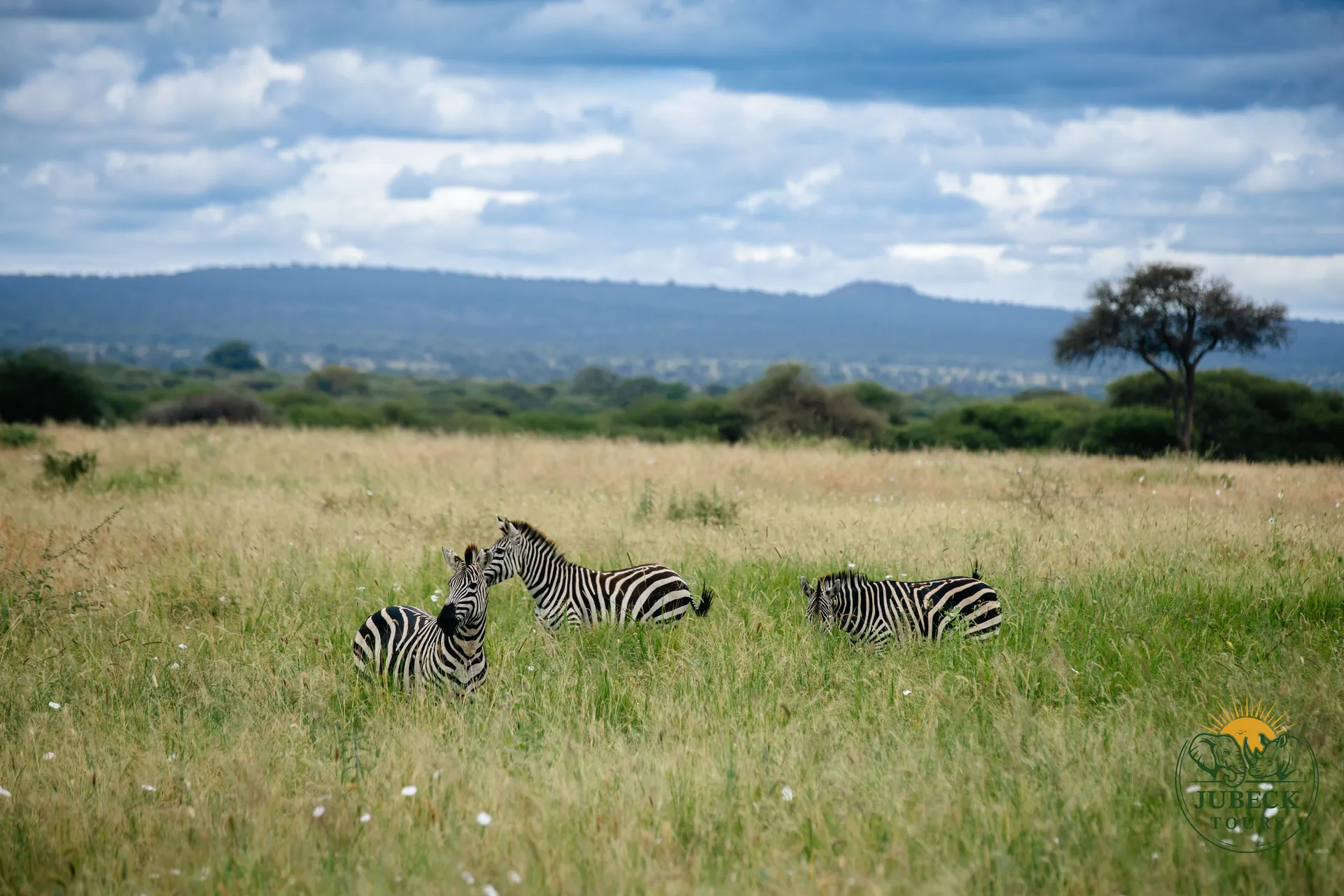 Maasai Mara Luxury Safari 2