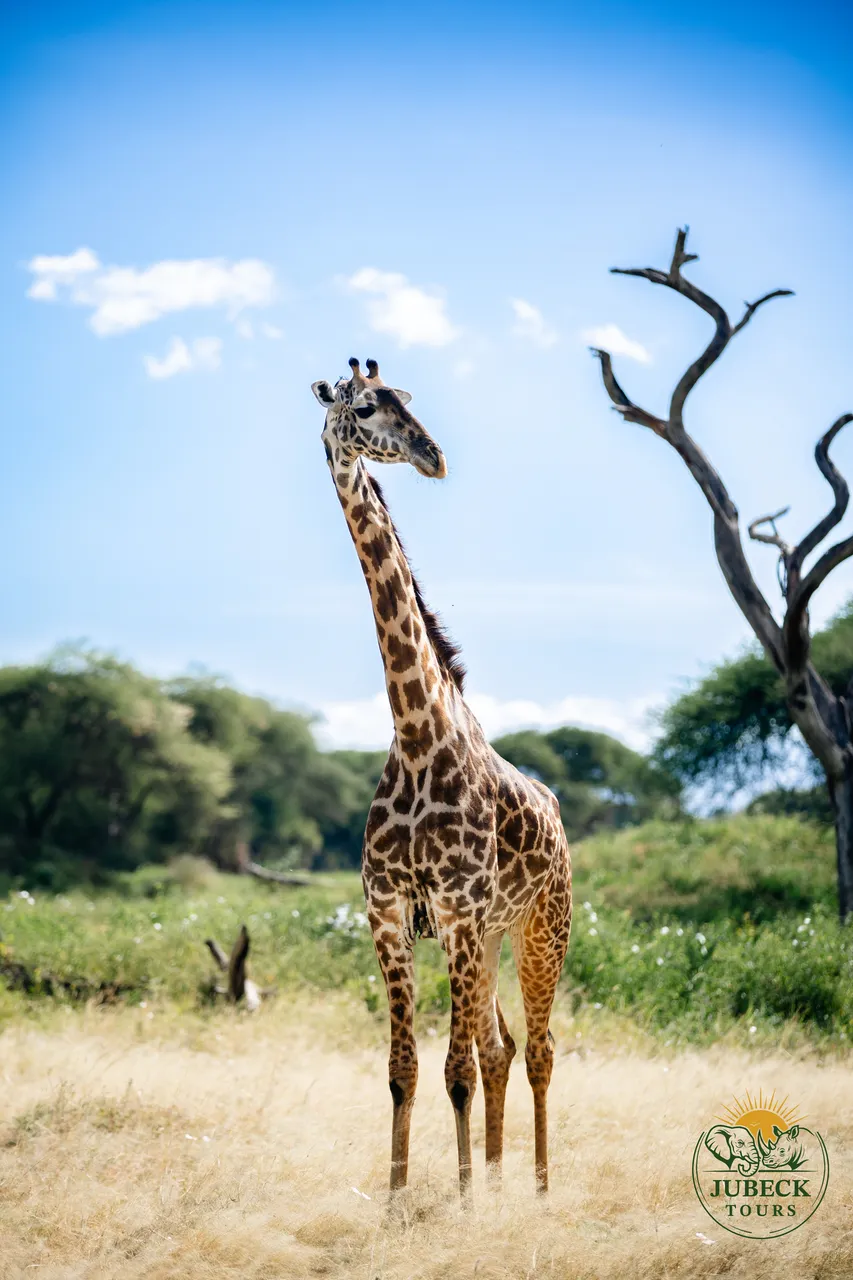 Arusha National Park Getaway 2